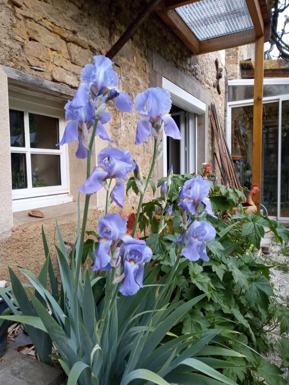 Gite Meuble 6 Personnes 2 Etoiles Haute Cote D'Or Proche Des Merveilles Touristiques Saint-Marc-sur-Seine 외부 사진